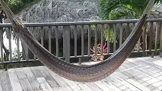 Media Luna, Roatan, 2017 - 4k