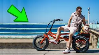 AddMoto M 360 Trike Review - Is it the Best Electric Tricycles for 2024?