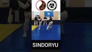 Lady karate 2022 part 3 