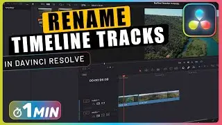 How to RENAME Timeline Tracks in DaVinci Resolve