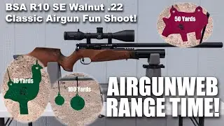 Shooting the BSA R10 SE Walnut Air Rifle - Sometimes Classic Airgunning is the way to go!