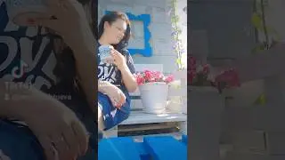 Летнее утро