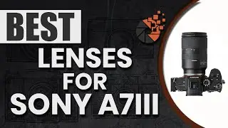 Best Lenses For Sony A7Riii 👁: Top Options Reviewed | Digital Camera-HQ