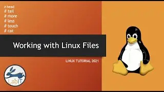 Working with Linux files | Linux Tutorial 2021 | Linux Masterclass