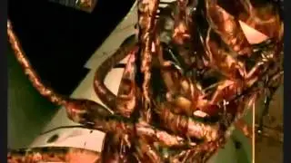 Wesker AMV [HD] 720p