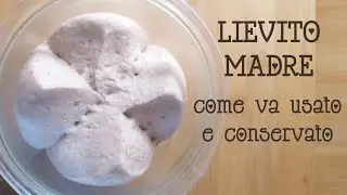 Mother Yeast: How to Use and Store It