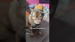 He accidentally called the cops! #youtubechamps #derek #funny #pug Jason bank’s audio