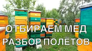 ПРАВИЛЬНЫЙ ОТБОР МЁДА  МНОГОКОПУСНОЙ УЛЕЙ РУЛИТ.
