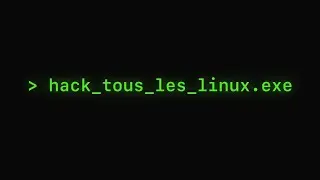 Comment la pire faille de Linux a été trouvé par pure chance ?