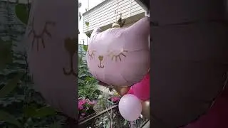 #shortvideo #воздушныешары #заработок #каксделать #ballons