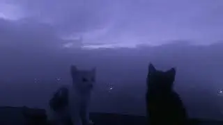 go to sleep, you need it.