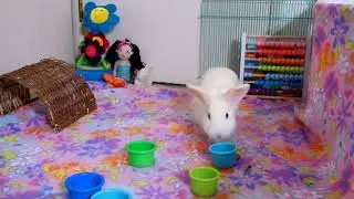 Playtime for Aquabella.