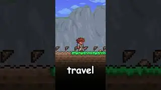 THIS IS A HOIK IN TERRARIA 