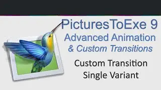 PicturesToExe   advanced Animation   Video 004 Custom Transition Single Variant