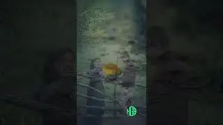 Қалдирғоч | Мухтор Алий  