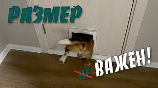 Установка дверцы для кошек "Trixie 44241/44242"
