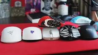 DISCUSSING NEW MICE AND ANSWERING QUESTIONS (SHOCKING)