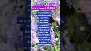 Ново #рекомендации #гороскоп #новолуние #shortsvideo #shortsyoutube #shorts #subscribe #tarot