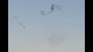Sığırcık Sürülerinin Dansı