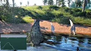 Deinosuchus east plains allies | The Isle Evrima