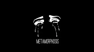 metamorphosis redux