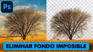 ✅ Cómo Eliminar Fondos Difíciles en Photoshop: Tutorial Paso a Paso🖌️