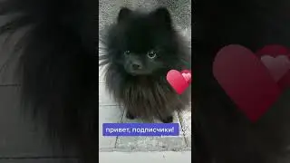 Привет моим подписчикам!