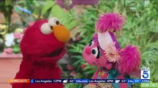 Elmo Twitter Post ''How Is Everyone Doing'' (TMIR Shorts)