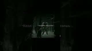 а как он туда попал? 🤔
