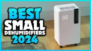 Top 7 Best Small Dehumidifiers You can Buy Right Now [2024]