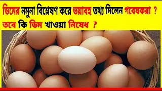 ডিমের নমুনা বিশ্লেষণ করে ভয়াবহ তথ্য দিলেন গবেষকরা । তবে কি ডিম খাওয়া নিষেধ । Facts Media Bangla