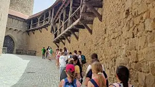 Burgkreuzenstein 🇦🇹 Austria. Eagle Show. Adler show. Greifvögel show