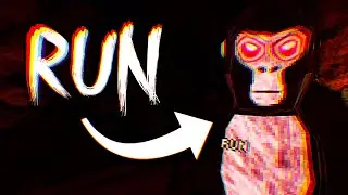 Ghost Trolling as RUN in Gorilla Tag...