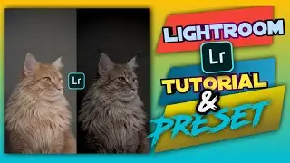 Lightroom Mobile Editing Tutorial + Preset | WHITE LEAF
