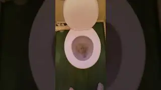 Flushing a mad shit (60fps) (sorry for filming vertically)
