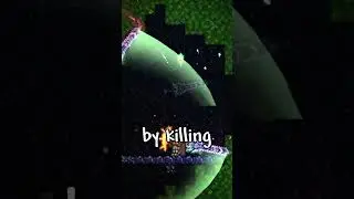 Terraria's Weirdest Item...
