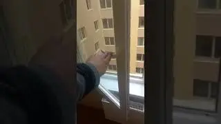 Апартаменты Гостиница Питер июнь 2022. Онлайн прием номера в гостинице.