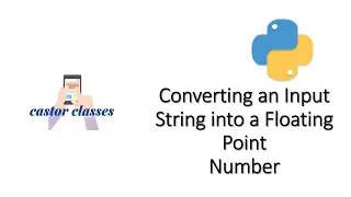 Converting an Input String into a Floating Point Number | Python | Castor Classes