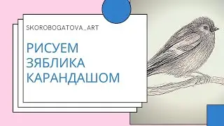 Как нарисовать птицу карандашом. 