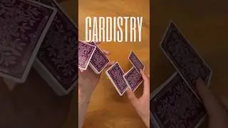 What Fancy Card Shuffling Looks Like😮 #shorts #viralvideo #viralvid #shuffle #cards #cardshuffle