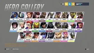 OWL All Star Skins - Before You Buy
