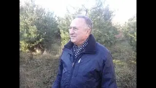 Эффект бумеранга:  глисты и рак