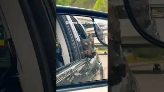 Windows down please! 