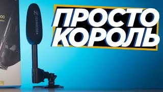 Sennheiser MKE 600. Огляд, обіцяний 84 роки назад / Den Blendaman