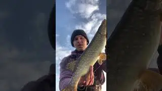 Щука на крючке! Весенний клев зубастых красавиц  