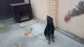 Пришла Посылка!!!