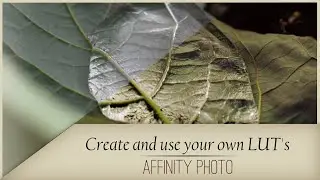 How to Create an LUT in Affinity Photo