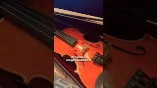 Вся правильность американцев в одном видео😵‍💫#usa #америка #сша #usaamerica #amerca #viola #music