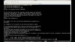 Using Wireguard to connect to VPN in Freebsd / Linux .Faster than Openvpn.