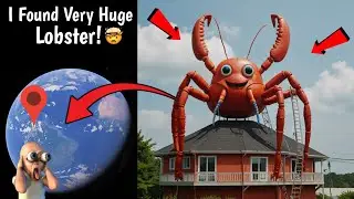 😰 I Found Very Huge Lobster in Real Life On Google Earth and Google Maps! 